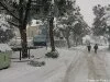 Nevicata_febbraio_2012_005
